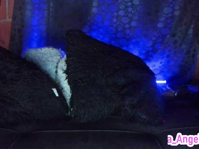 Preview of cata-anngel