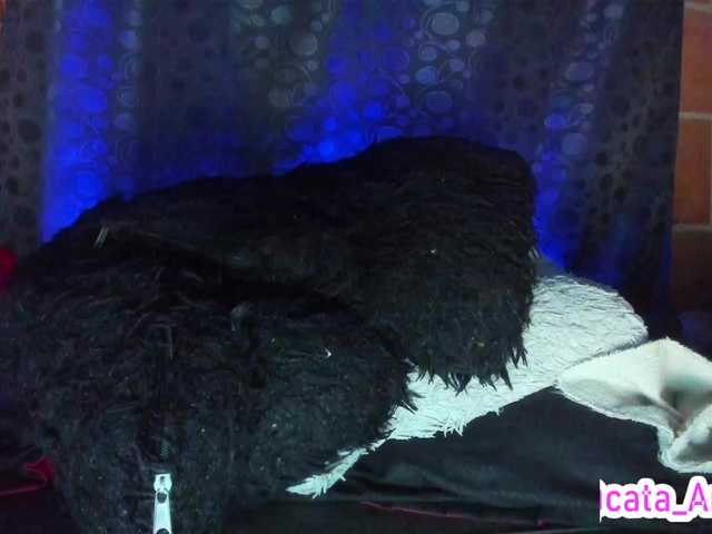 Preview of cata-anngel