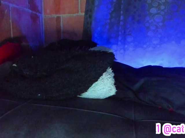 cata-anngel's BongaCams show and profile