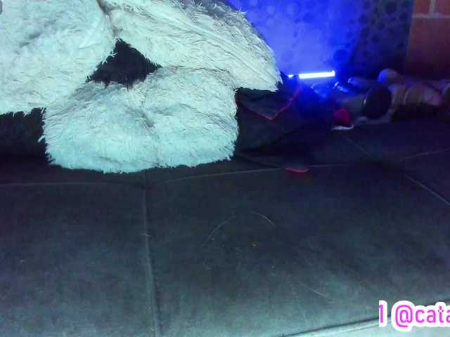 Preview of cata-anngel