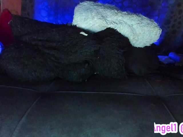 Preview of cata-anngel