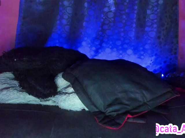 cata-anngel's BongaCams show and profile