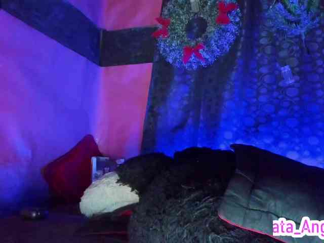 cata-anngel cata-anngel