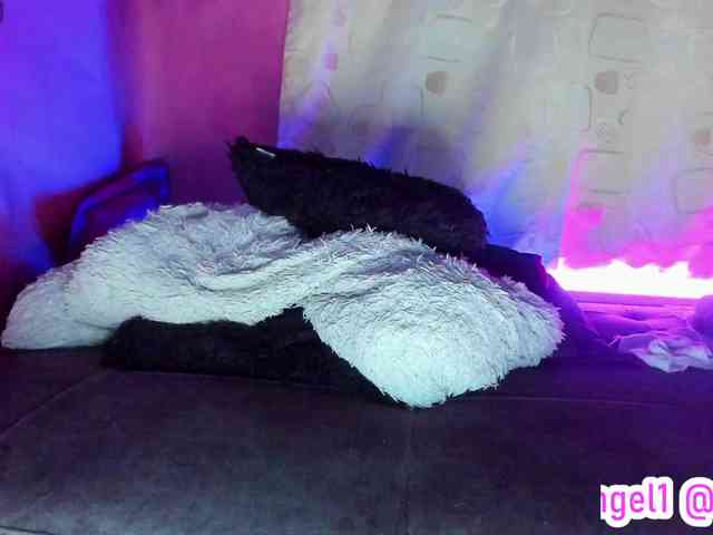 cata-anngel webcam