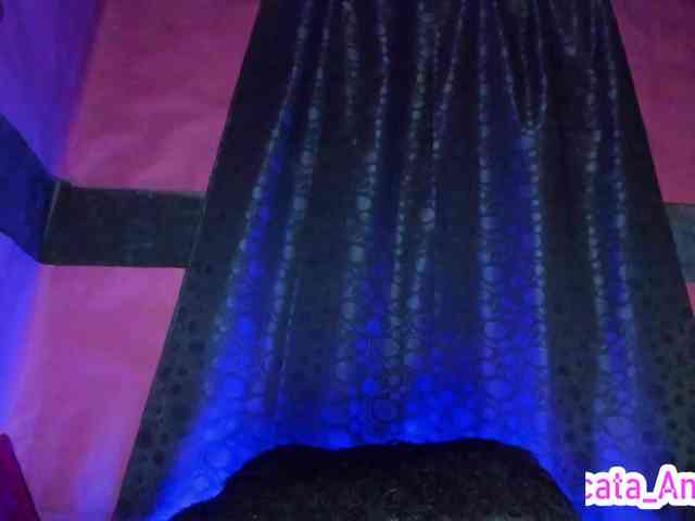 cata-anngel webcam