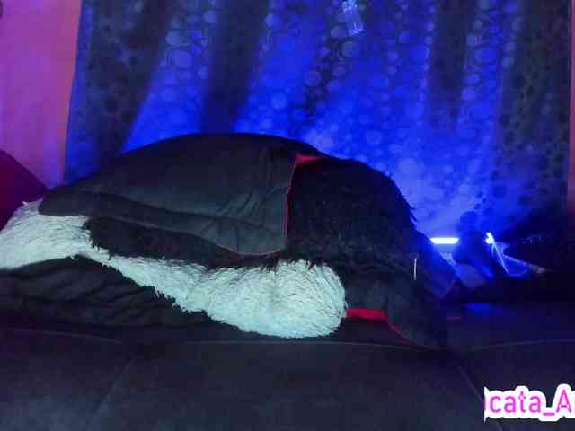 cata-anngel cata-anngel