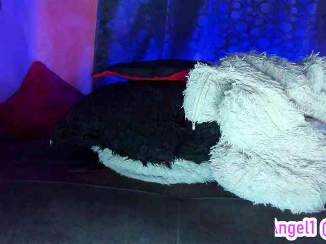 cata-anngel cata-anngel