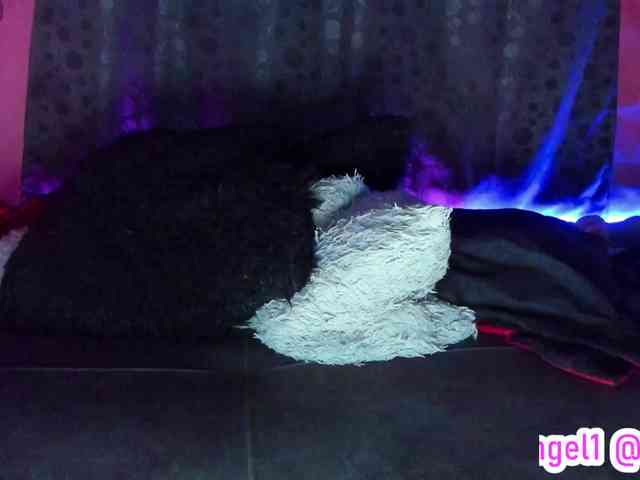 cata-anngel cata-anngel