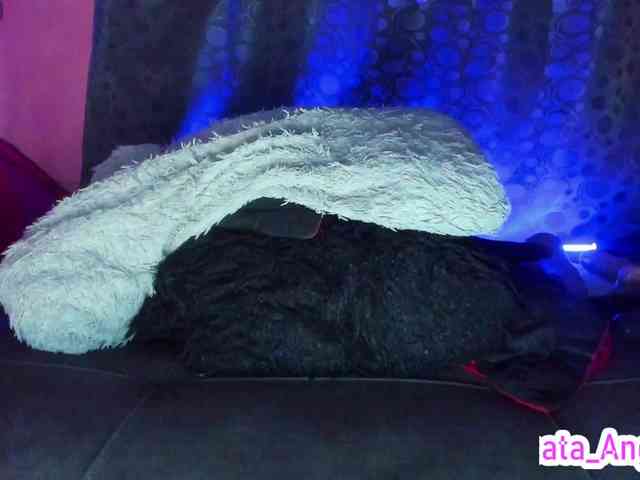 cata-anngel cata-anngel