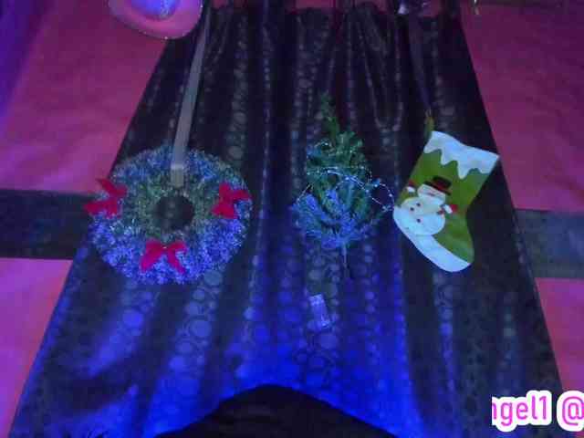 cata-anngel cata-anngel