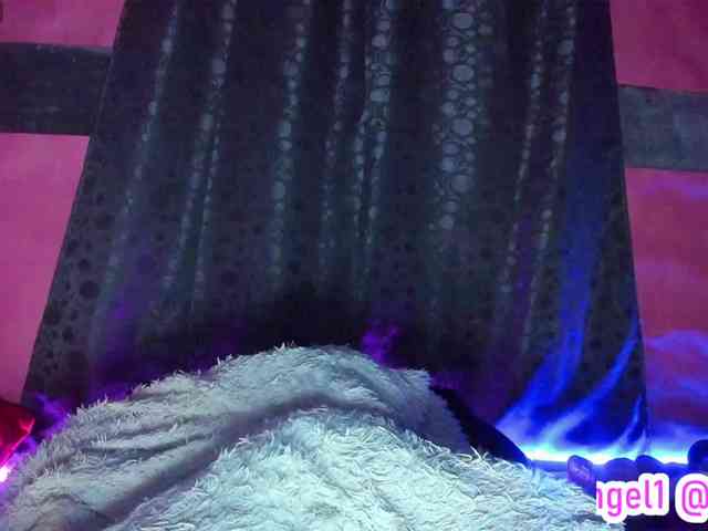 cata-anngel webcam
