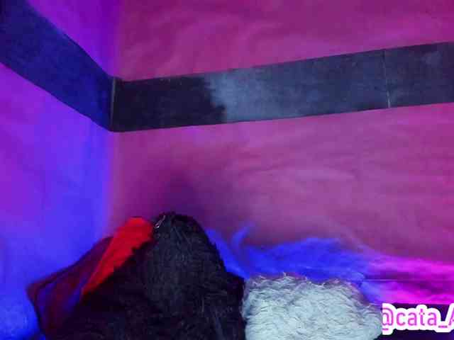cata-anngel webcam