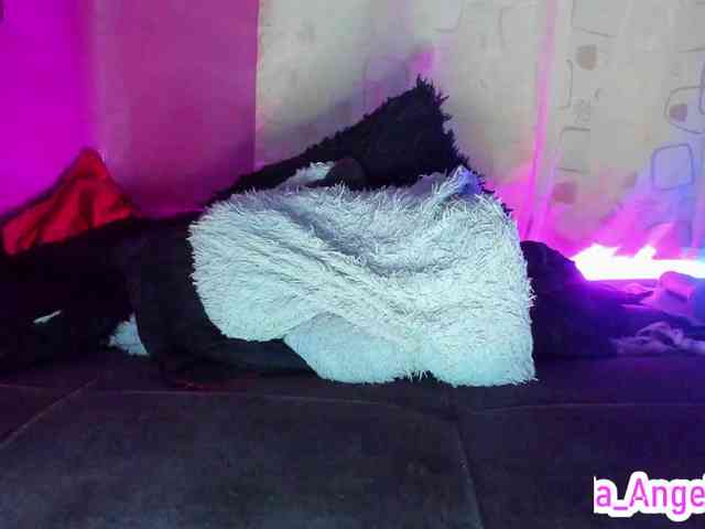 cata-anngel webcam
