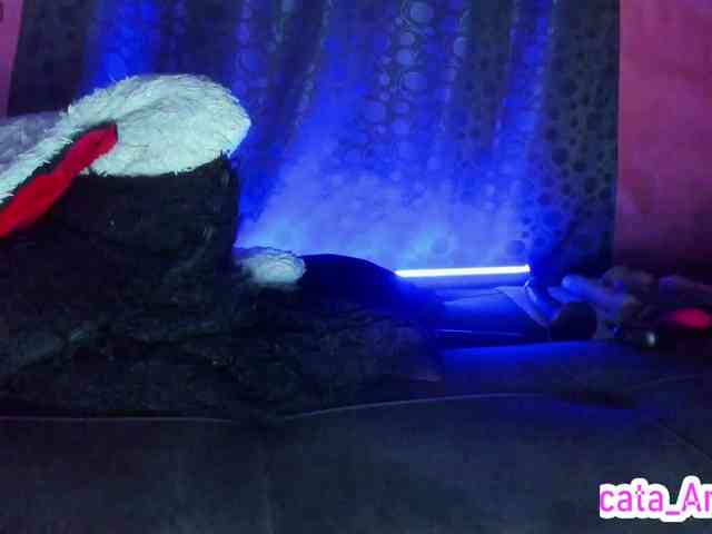 cata-anngel webcam
