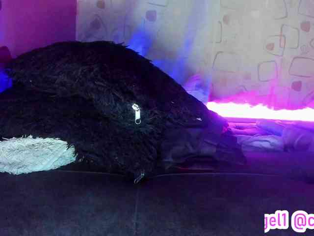 cata-anngel webcam