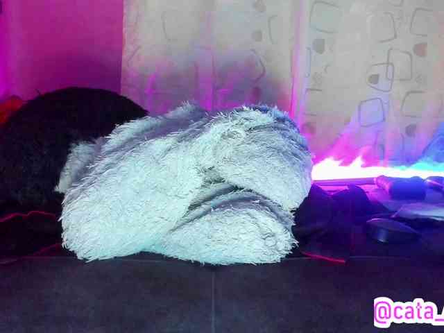 cata-anngel webcam
