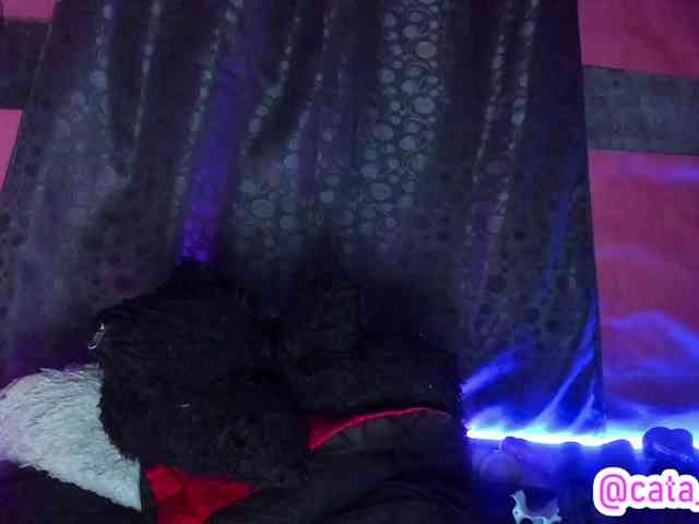 cata-anngel webcam