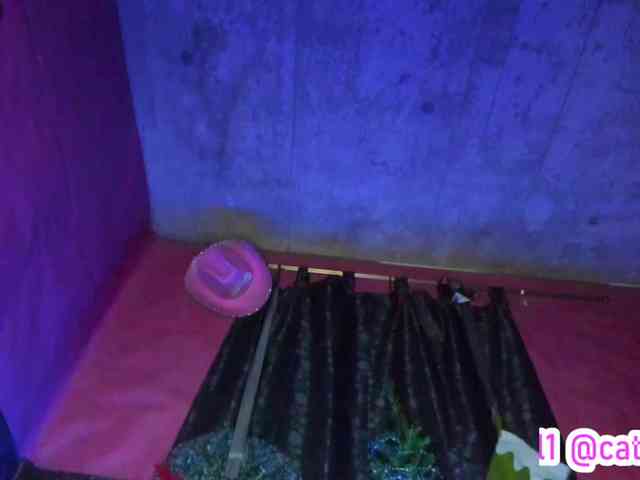 cata-anngel cata-anngel