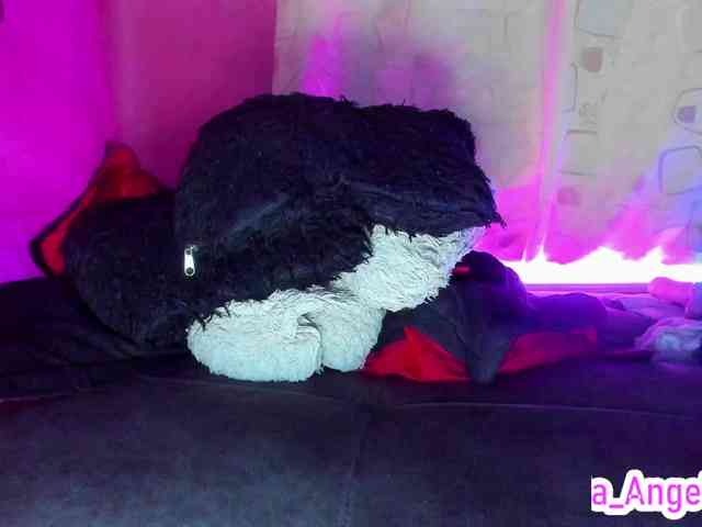 cata-anngel webcam