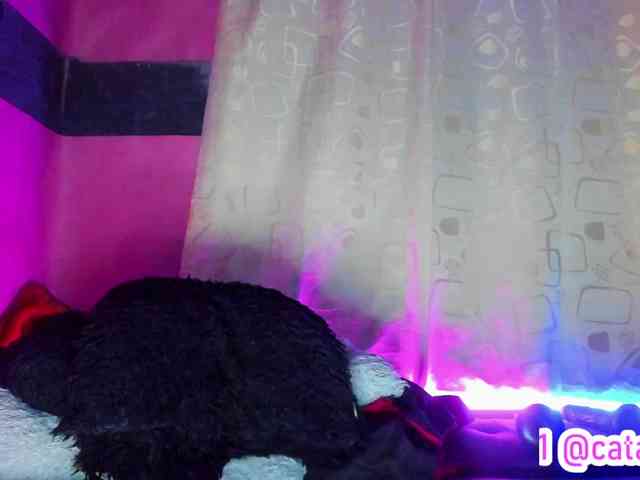 cata-anngel webcam