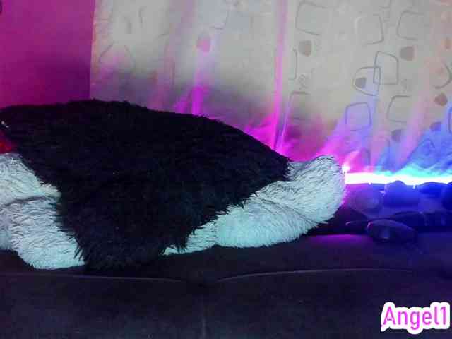 cata-anngel webcam