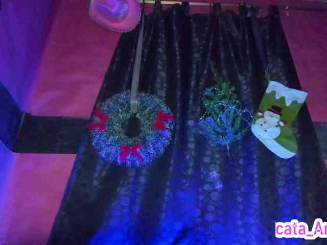 cata-anngel cata-anngel