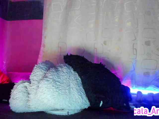 cata-anngel webcam