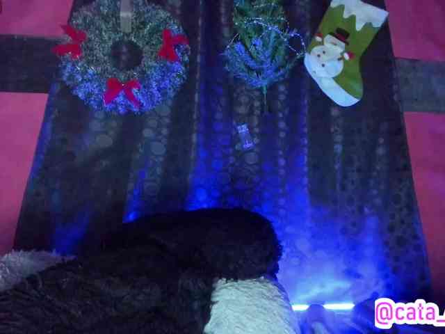 cata-anngel cata-anngel