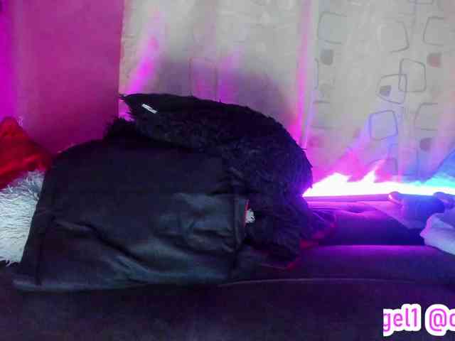 cata-anngel webcam