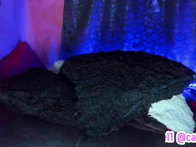 cata-anngel cata-anngel