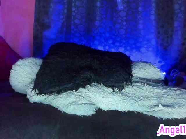 cata-anngel cata-anngel