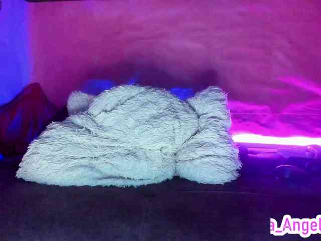 cata-anngel webcam