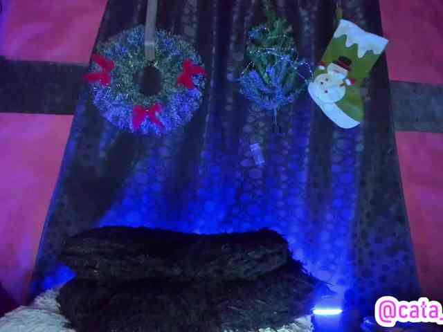 cata-anngel cata-anngel