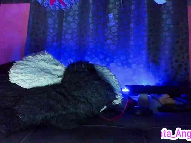 cata-anngel cata-anngel