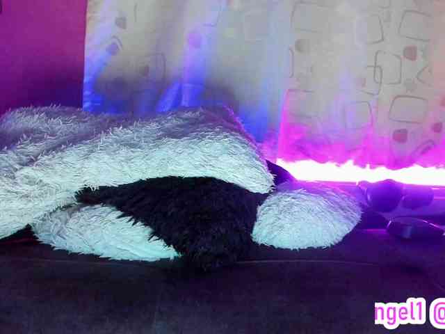cata-anngel webcam