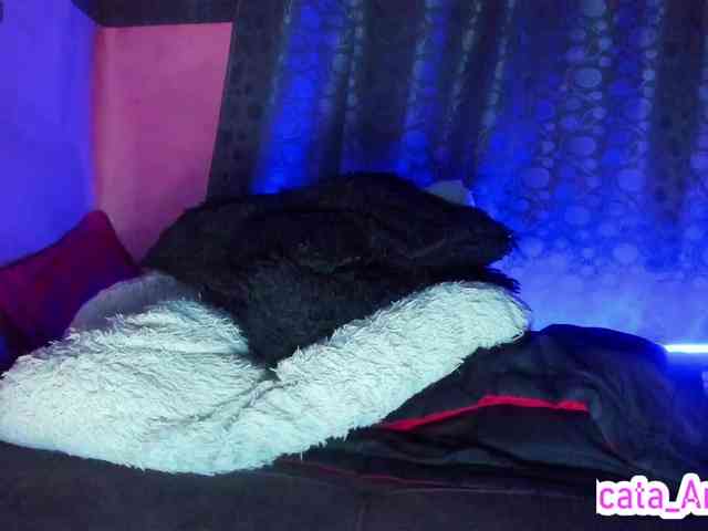 cata-anngel webcam