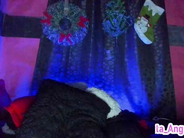 cata-anngel cata-anngel