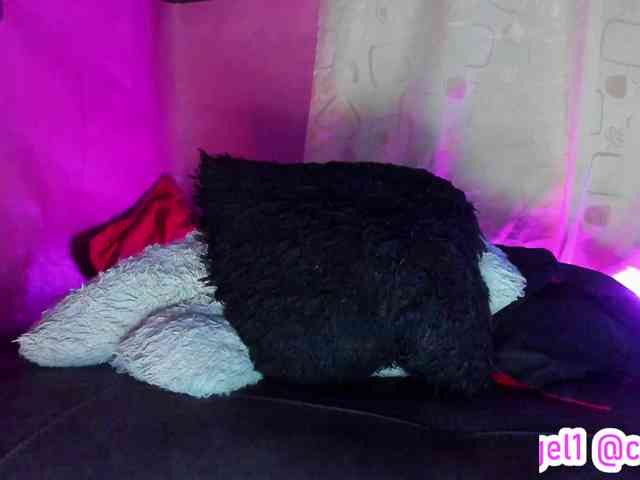 cata-anngel webcam