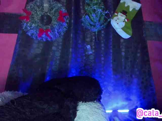 cata-anngel cata-anngel