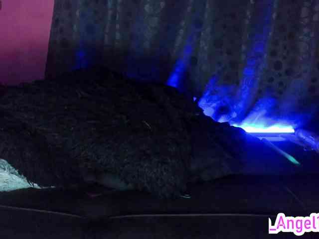 cata-anngel cata-anngel