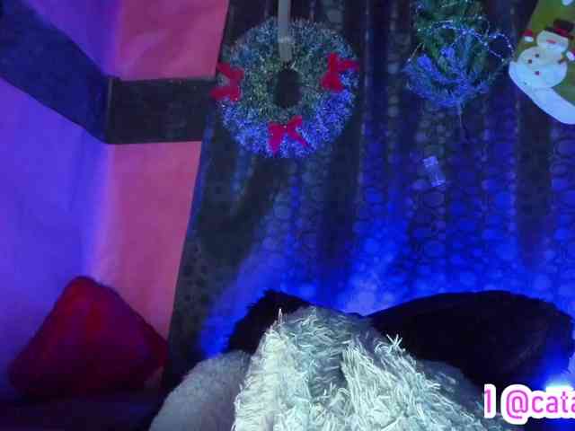 cata-anngel webcam