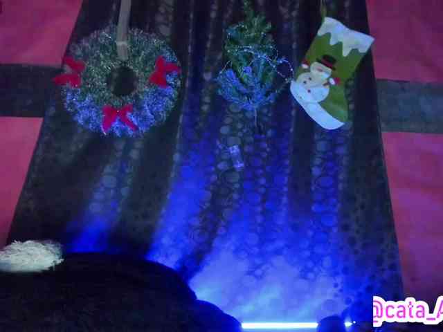 cata-anngel webcam
