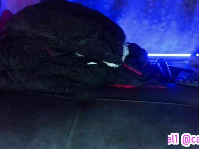 cata-anngel cata-anngel