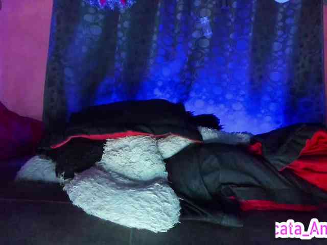 cata-anngel cata-anngel