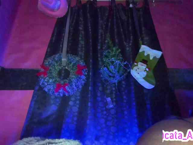 cata-anngel cata-anngel