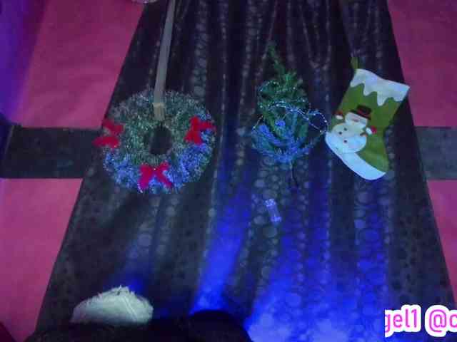 cata-anngel cata-anngel