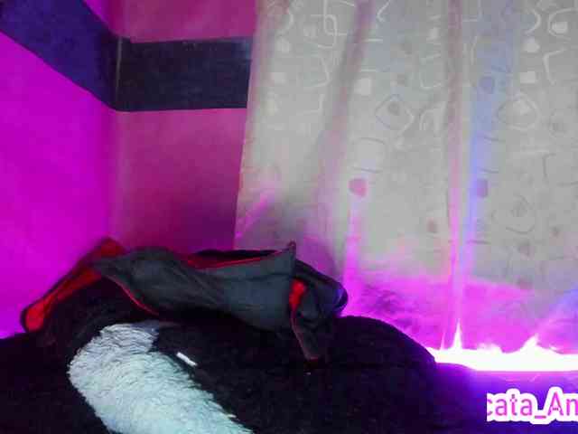 cata-anngel webcam