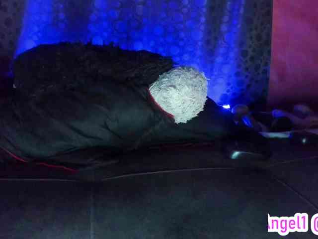 cata-anngel cata-anngel