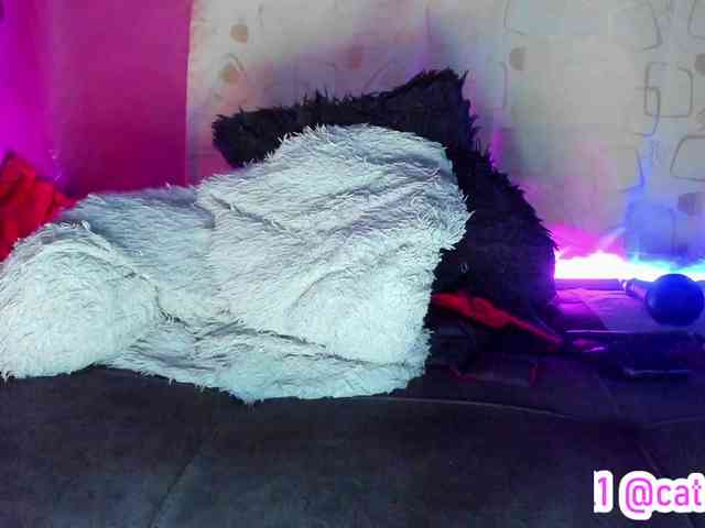 cata-anngel webcam