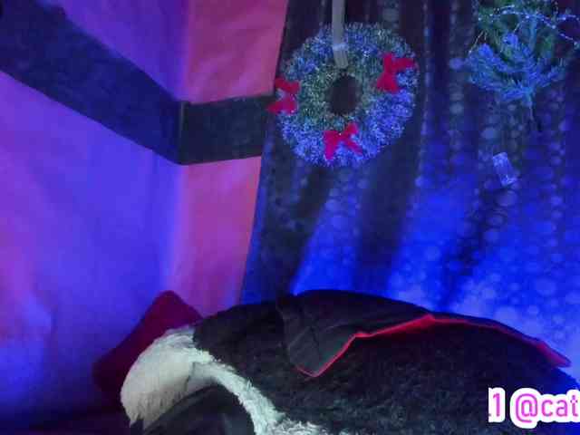 cata-anngel cata-anngel